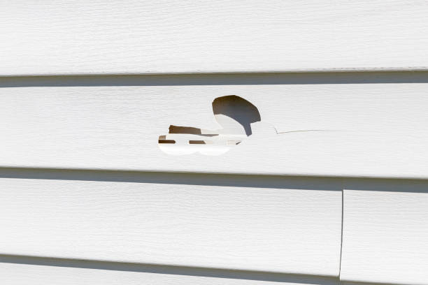 Reliable Tuscaloosa, AL Junk Removal Solutions